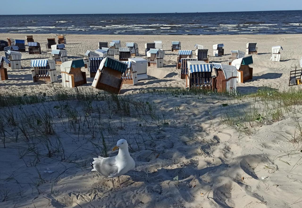 Ferienwohnung Strand25 ทรัสเซนไฮเดอ ภายนอก รูปภาพ